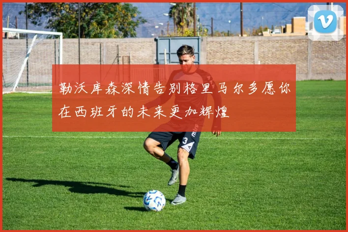 勒沃库森深情告别格里马尔多愿你在西班牙的未来更加辉煌